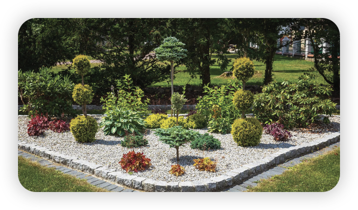 Won the bid for the greening project of Safia Riyadh Factory Project in Saudi Arabia