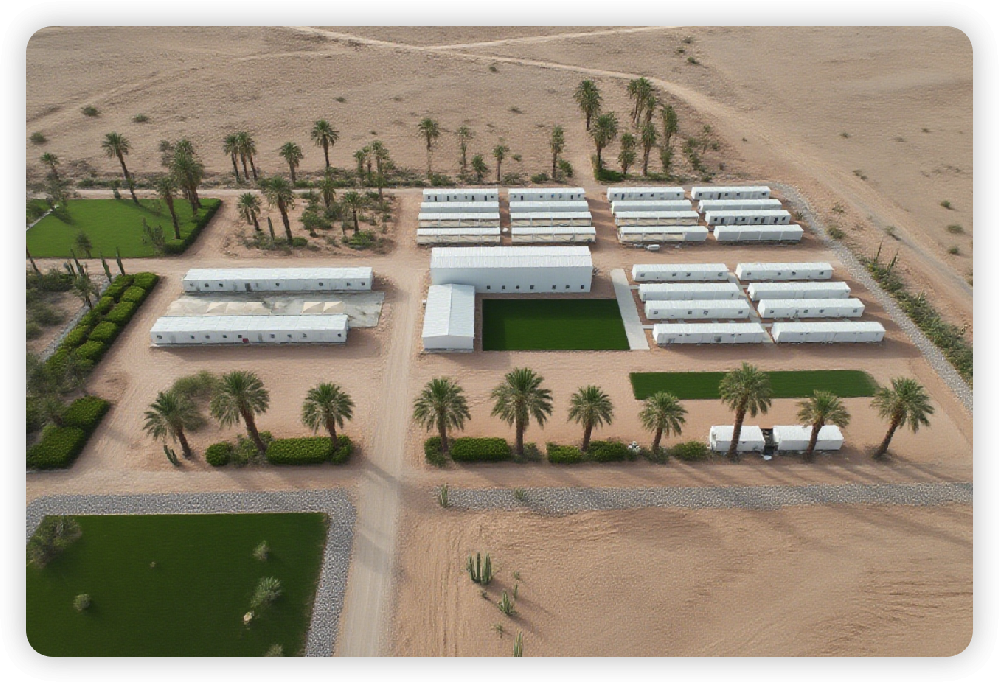 Won the bid for the greening of Harbin Electric Power Camp